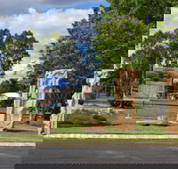 The Fossilised Forest Sculpture - Accommodation Rockhampton