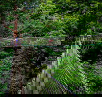 Thunderbird Park  - Tamborine Mountain Gold Coast Region - Accommodation Rockhampton