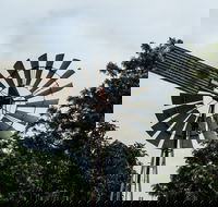 Tinaberries - Accommodation Rockhampton