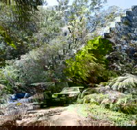 Wadbilliga Road drive - Accommodation Rockhampton