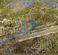 Walpole Wilderness Discovery Centre - Accommodation Rockhampton