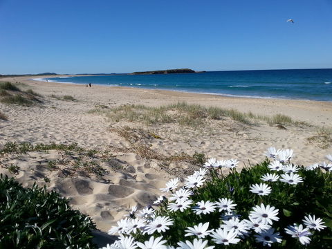 Warilla - Accommodation Rockhampton 1
