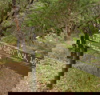 Waterfall Gully - Kings Falls Circuit Walk - Accommodation Rockhampton