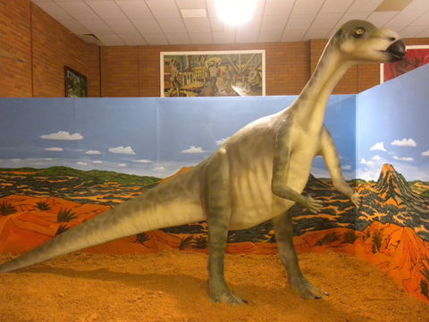 Wentworth Pioneer Museum - Accommodation Rockhampton 1