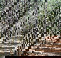 Yana-y Warruwi Walking Track - Accommodation Rockhampton