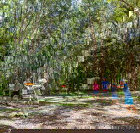 Ballina Disc Golf - Accommodation Rockhampton