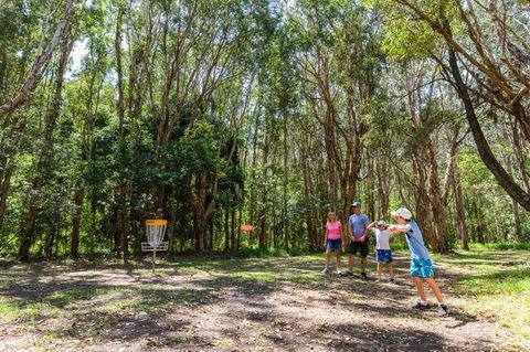 Ballina Disc Golf - Accommodation Rockhampton 0