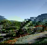 Botanic Garden Wollongong - Accommodation Rockhampton
