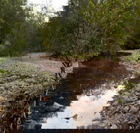 Budawang National Park - Accommodation Rockhampton