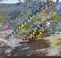 Caves circuit Lamington National Park - Accommodation Rockhampton