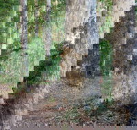 Delta Track - Accommodation Rockhampton