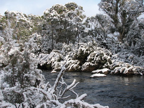 Derwent Bridge - Accommodation Rockhampton 2