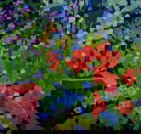 Ferry Artists Gallery - Accommodation Rockhampton