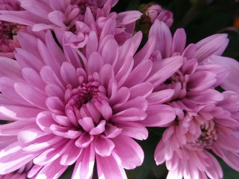 Geelong Art Space - Accommodation Rockhampton 1