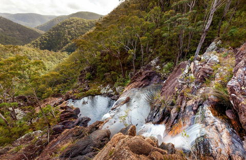 Gibraltar Range National Park - Accommodation Rockhampton 0