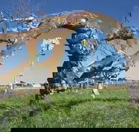 Greenough Leaning Trees - Accommodation Rockhampton