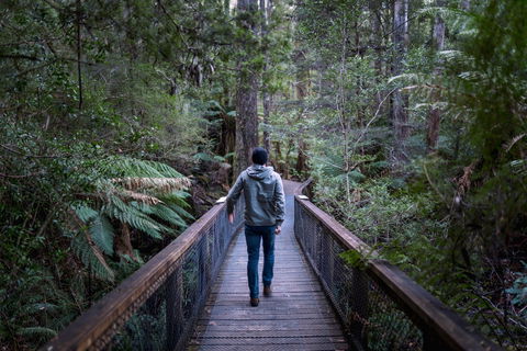 Hastings Caves And Thermal Springs - Accommodation Rockhampton 1