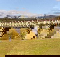 Historic Tabulam DeBurgh Timber Bridge - Accommodation Rockhampton