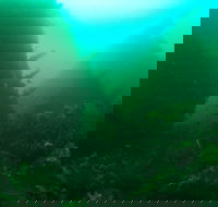 Investigator Strait Shipwreck Trail - Accommodation Rockhampton