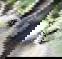 John Egan Pioneer Track - Accommodation Rockhampton