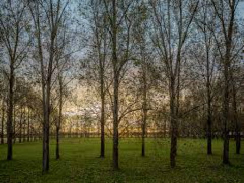 John Tucker Park - Accommodation Rockhampton 1