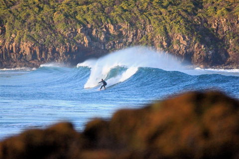 Killalea Reserve - Accommodation Rockhampton 1