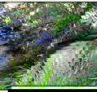 Kin Kin - Accommodation Rockhampton