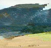 Langi Ghiran State Park - Accommodation Rockhampton