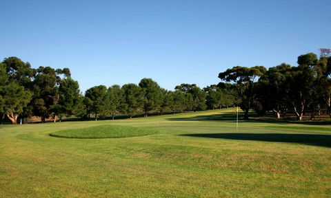 Mannum Golf Club - Accommodation Rockhampton 0
