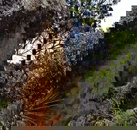 Mystery Face Walking Track - Accommodation Rockhampton