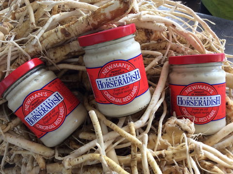 Newman's Horseradish Farm And Rusticana Wines - Accommodation Rockhampton 0