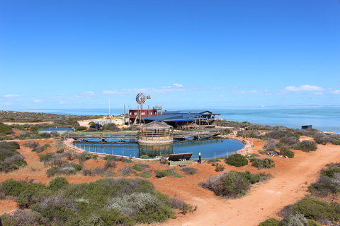 Ocean Park Aquarium - Accommodation Rockhampton 1