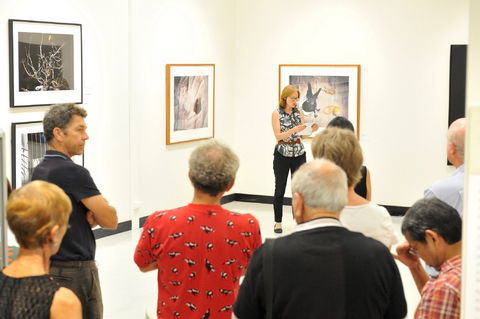 Pine Rivers Art Gallery - Accommodation Rockhampton 1