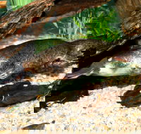 Platypus House - Accommodation Rockhampton