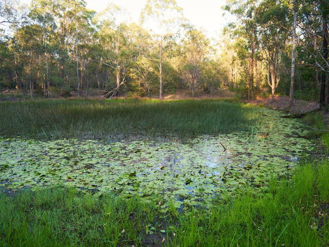 Raysource Road - Accommodation Rockhampton 2