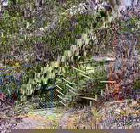 Sawpit Walking Track - Accommodation Rockhampton