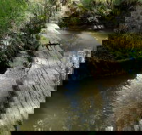 Second Ponds Creek Walk - Accommodation Rockhampton