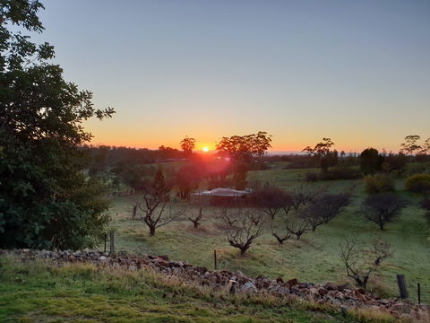 Taralee Orchards - Accommodation Rockhampton 1