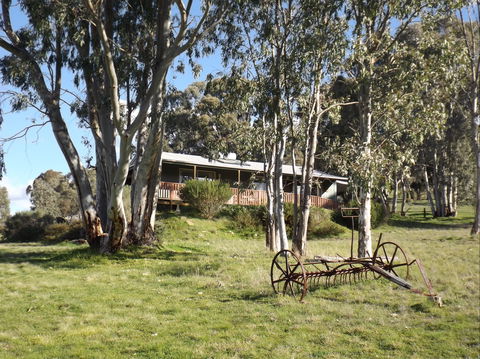 Taralee Orchards - Accommodation Rockhampton 2