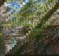 Thylogale Track - Accommodation Rockhampton
