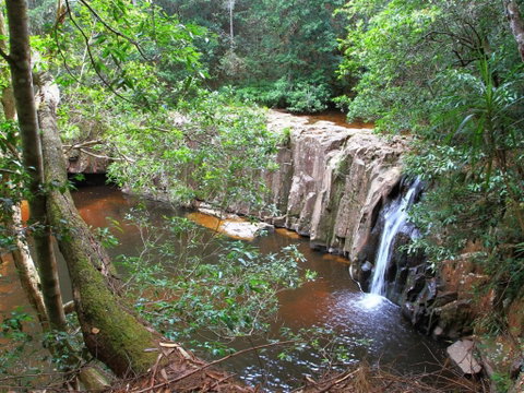 Waitui Falls - Accommodation Rockhampton 0