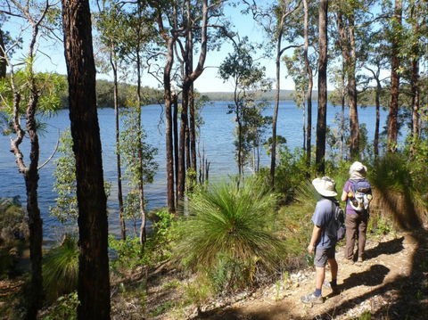 Wellington Discovery Forest - Accommodation Rockhampton 0