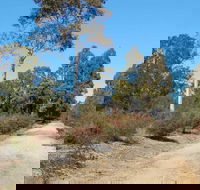 Werakata National Park - Accommodation Rockhampton