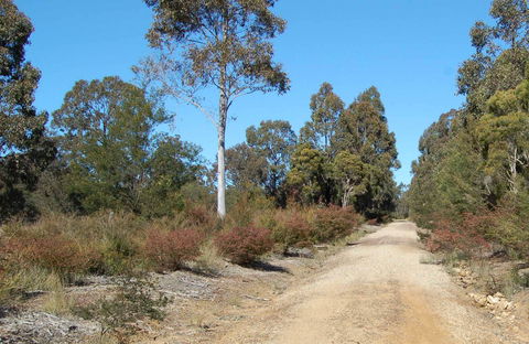 Werakata National Park - Accommodation Rockhampton 0
