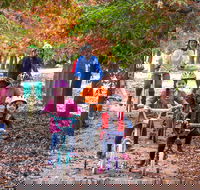 Beechworth to Everton Station 16km - Accommodation Rockhampton