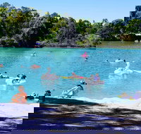 Black Diamond Lake - Accommodation Rockhampton