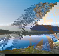 Blackwood River - Accommodation Rockhampton