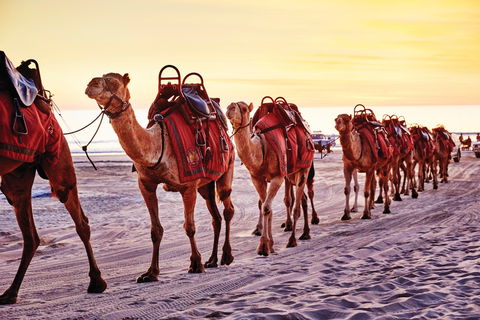 Broome And The Kimberley Coast - Accommodation Rockhampton 0
