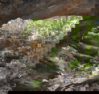 Cave Creek Walking Track - Accommodation Rockhampton