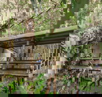 Daisy Hill Koala Centre - Accommodation Rockhampton